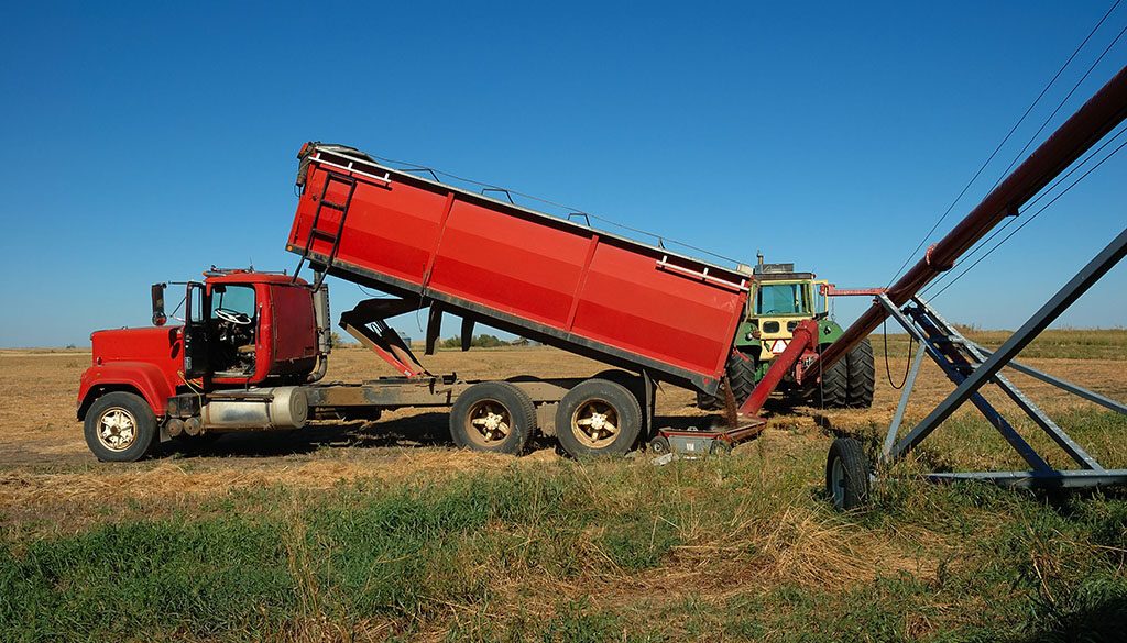 A Red Grain Agricultural Dump Trailer Unloads Grain Crop